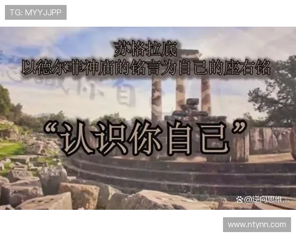 俱乐与自由队的精彩对决揭示了团队合作与个人自由的深刻哲学思考